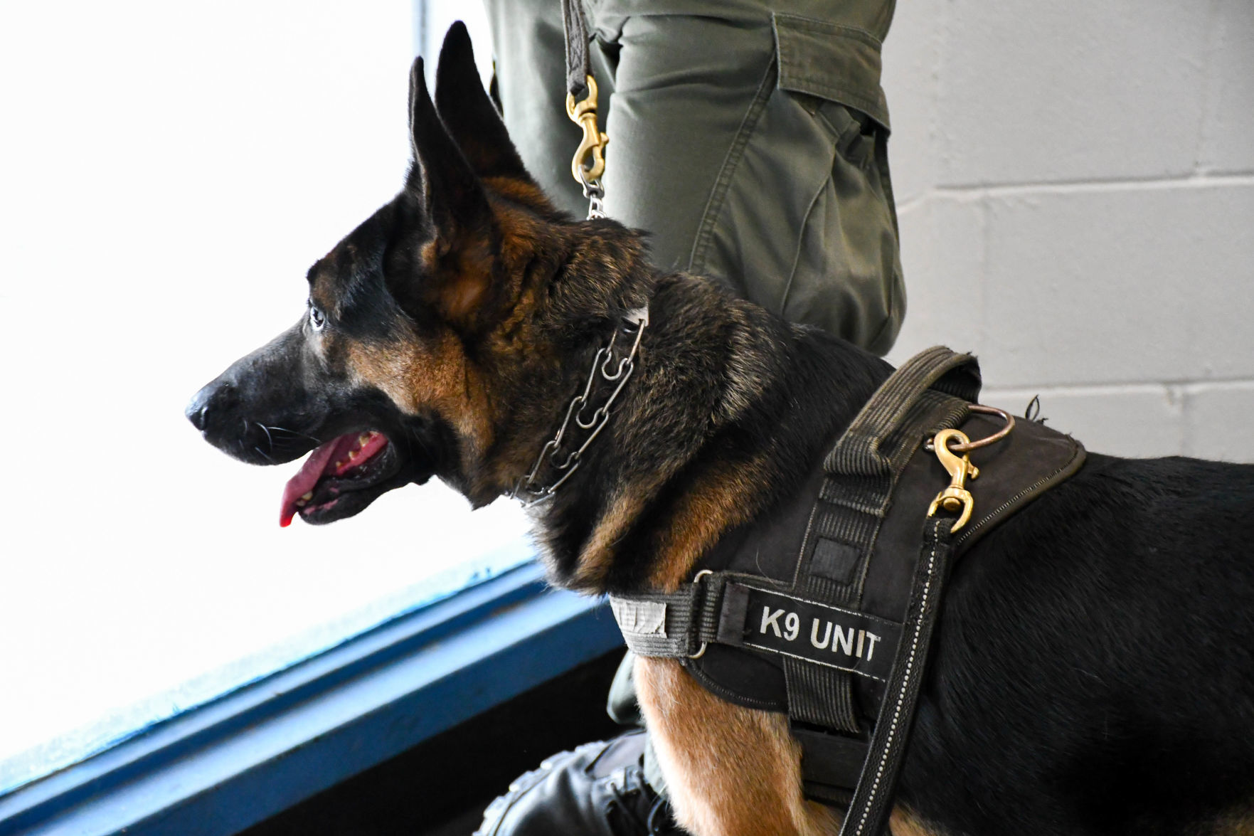 K9